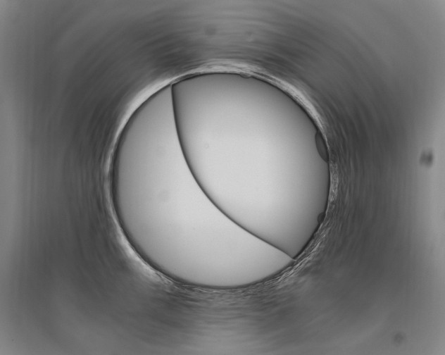 X0000095541003200712141019