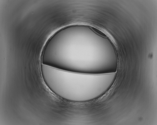 X0000095541004200712141019