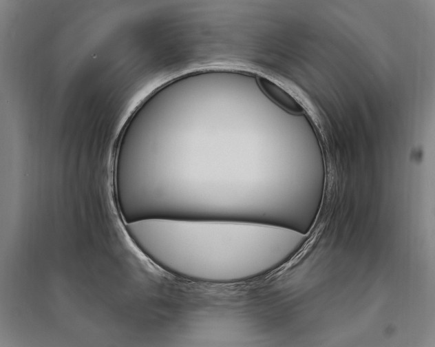 X0000095541006200712141019