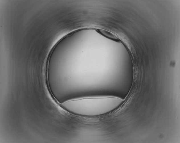 X0000095541007200712141019