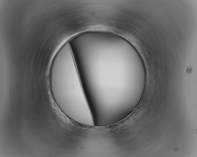 X0000095541008200712141019