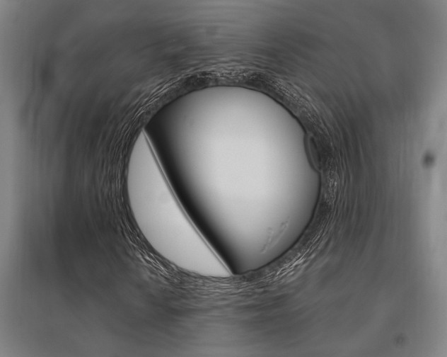 X0000095541010200712141019