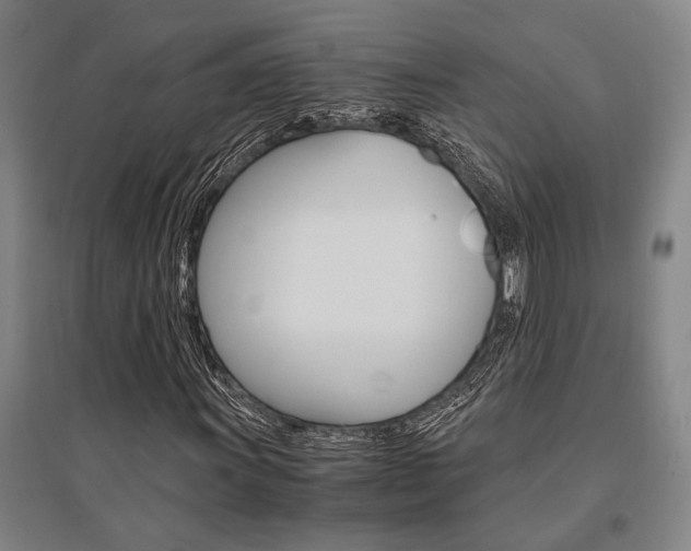 X0000095541011200712141019