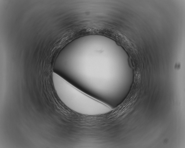 X0000095541012200712141019