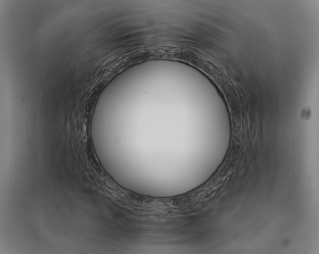 X0000095541013200712141019