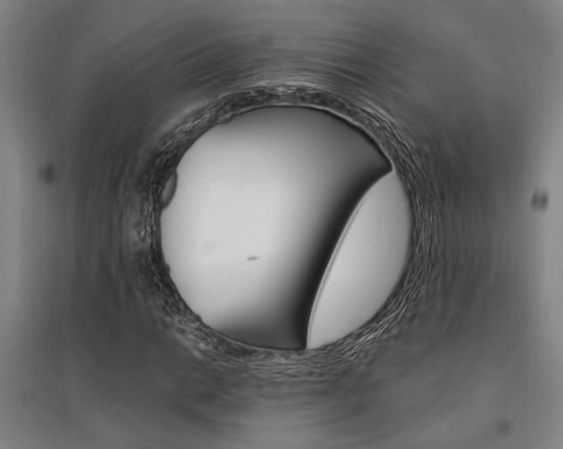 X0000095541014200712141019