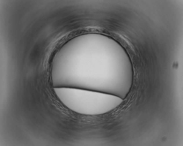 X0000095541015200712141019