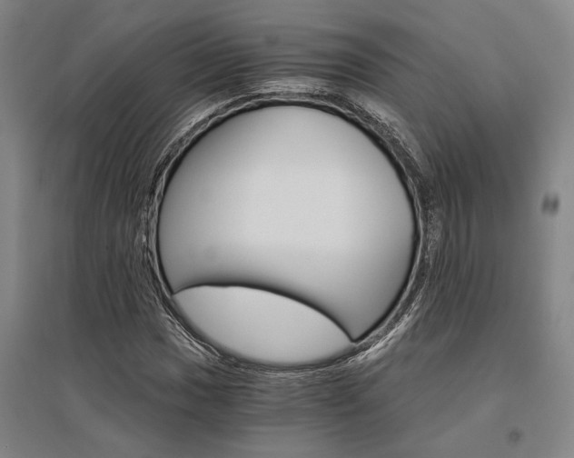 X0000095541017200712141019