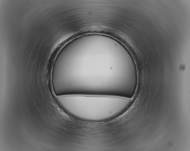 X0000095541018200712141019