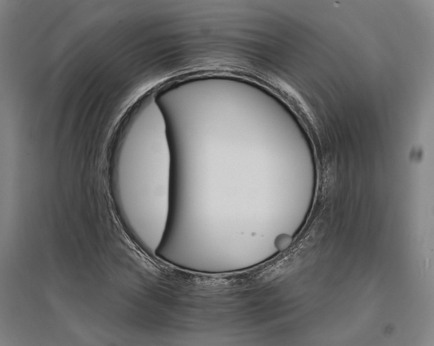 X0000095541019200712141019