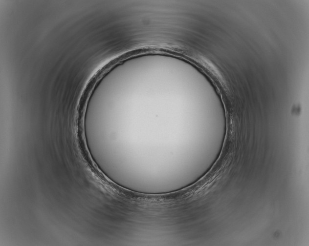 X0000095541020200712141019