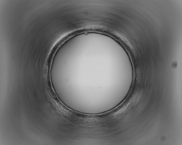 X0000095541021200712141019