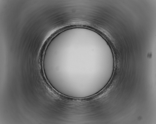 X0000095541022200712141019