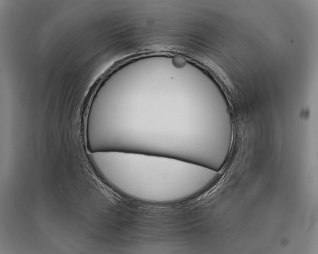 X0000095541023200712141019