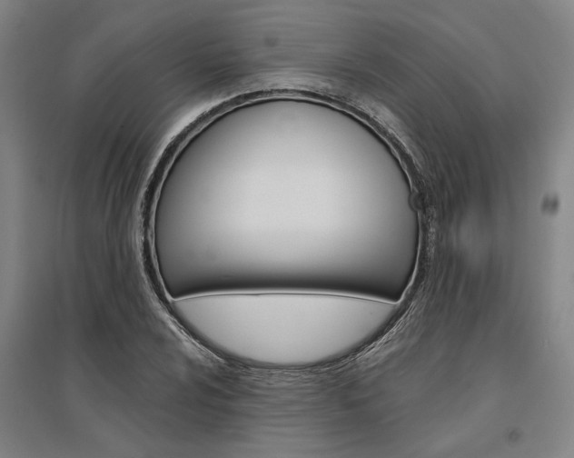 X0000095541024200712141019
