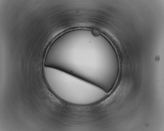 X0000095541025200712141019