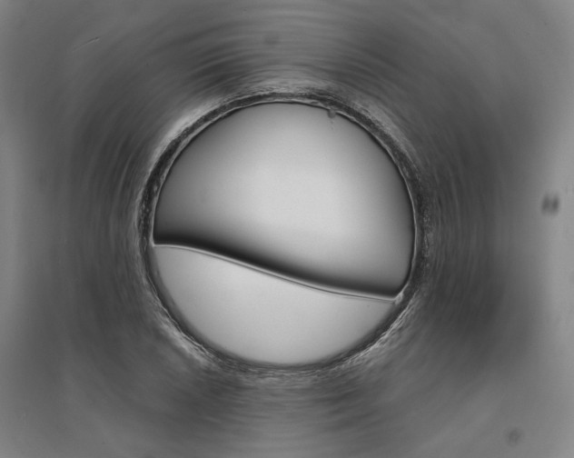 X0000095541026200712141019