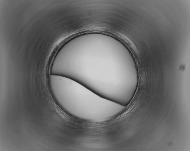 X0000095541027200712141019