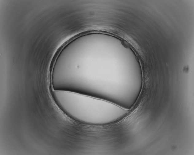 X0000095541028200712141019