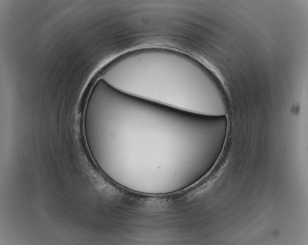 X0000095541029200712141019