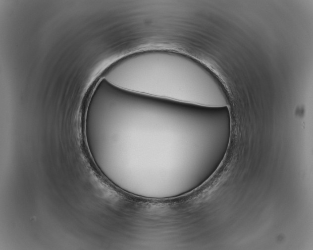 X0000095541030200712141019