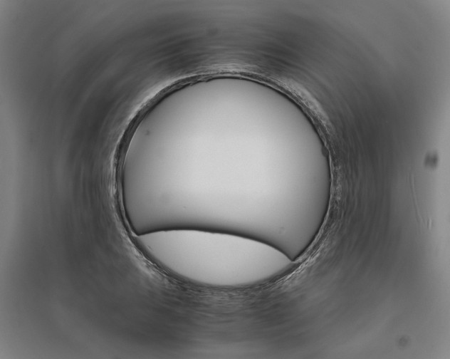 X0000095541031200712141019