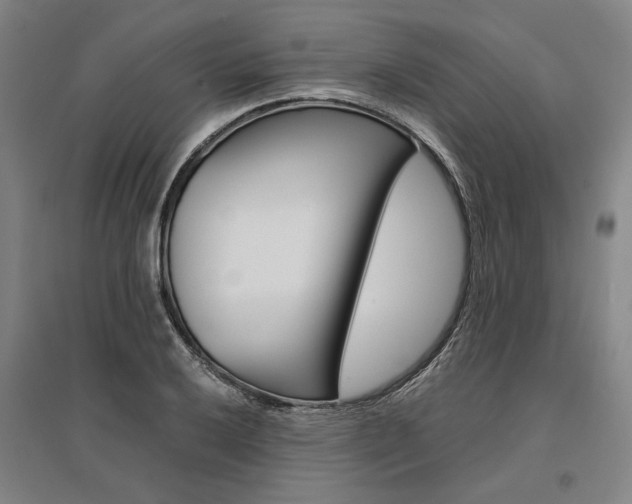 X0000095541032200712141019
