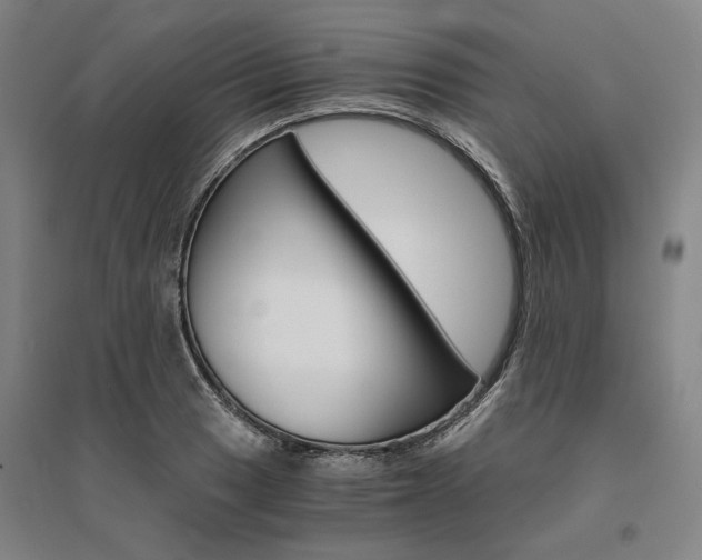 X0000095541033200712141019