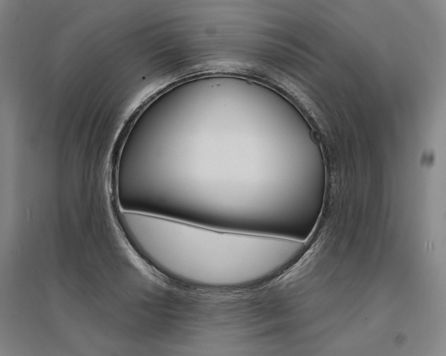 X0000095541034200712141019