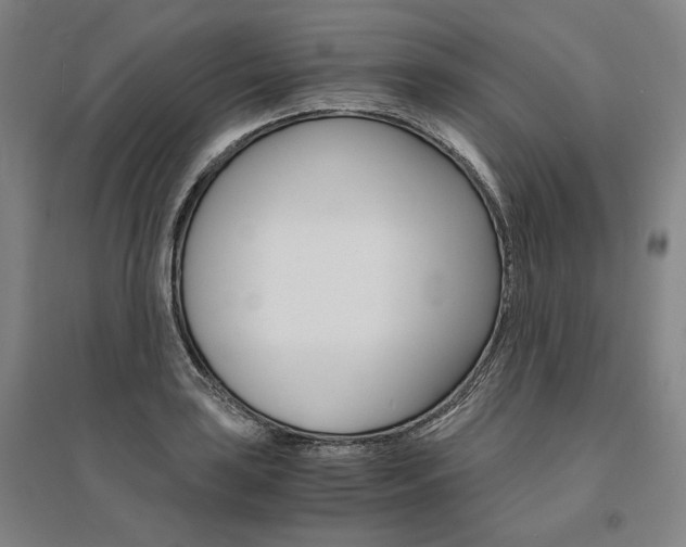 X0000095541035200712141019