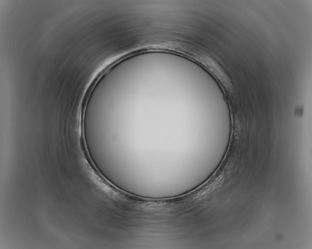 X0000095541036200712141019