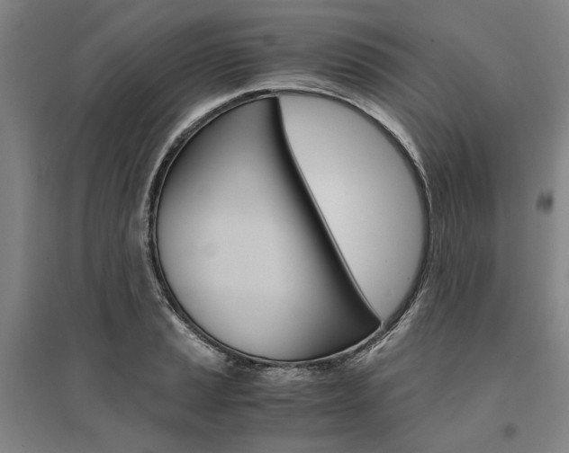 X0000095541037200712141019