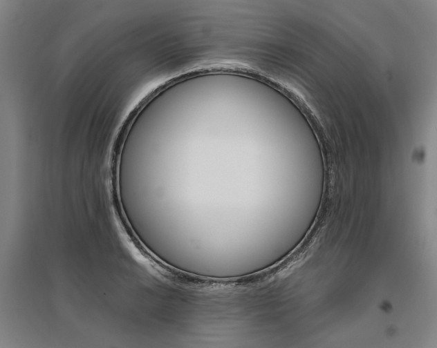 X0000095541038200712141019