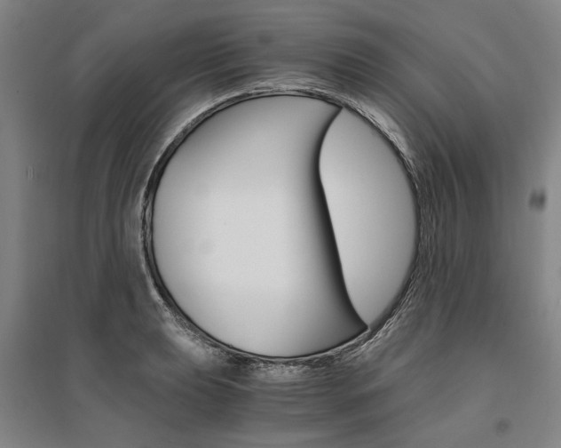 X0000095541039200712141019
