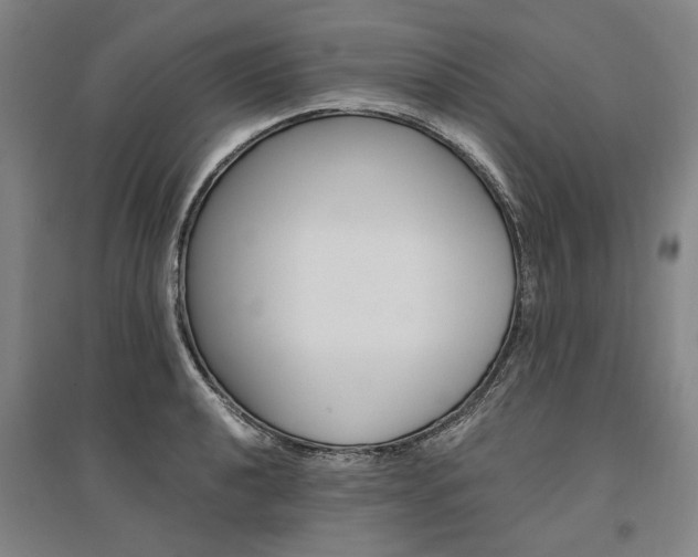 X0000095541040200712141019