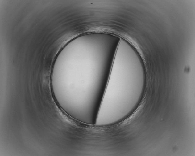 X0000095541041200712141019