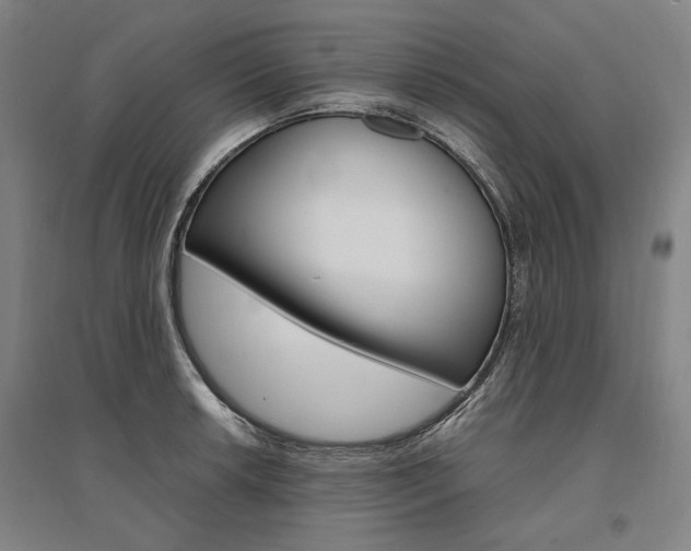 X0000095541042200712141019