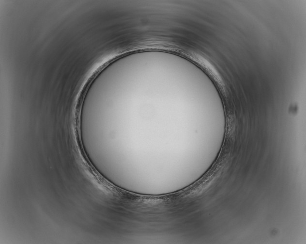 X0000095541043200712141019