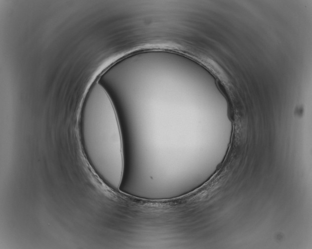 X0000095541044200712141019