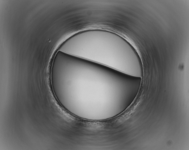 X0000095541045200712141019
