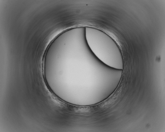 X0000095541047200712141019
