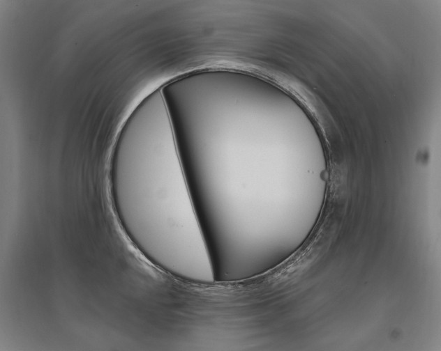 X0000095541048200712141019