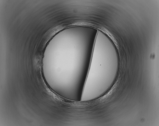 X0000095541049200712141019