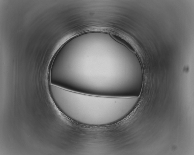 X0000095541050200712141019