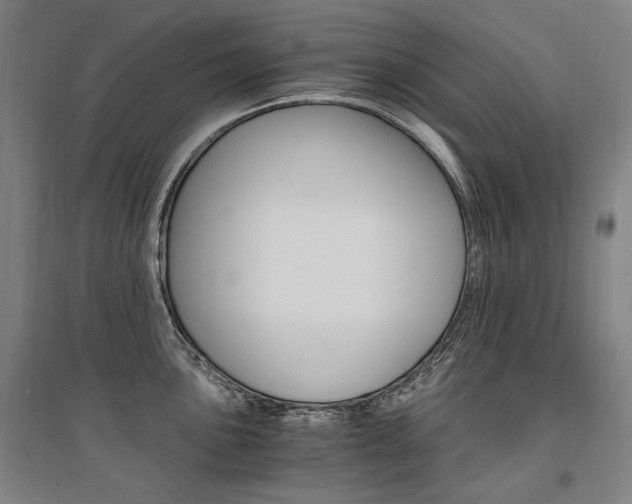 X0000095541051200712141019