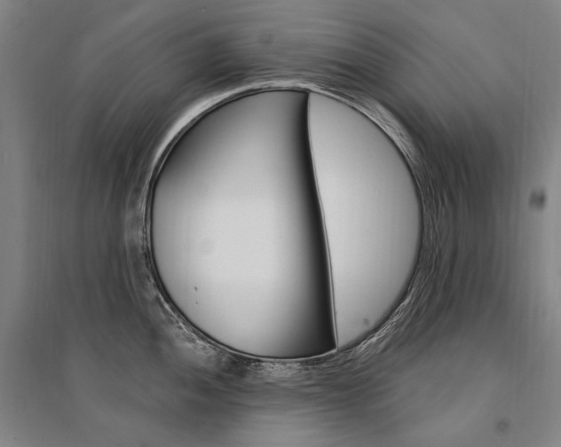 X0000095541052200712141019