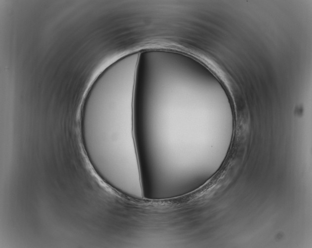 X0000095541053200712141019