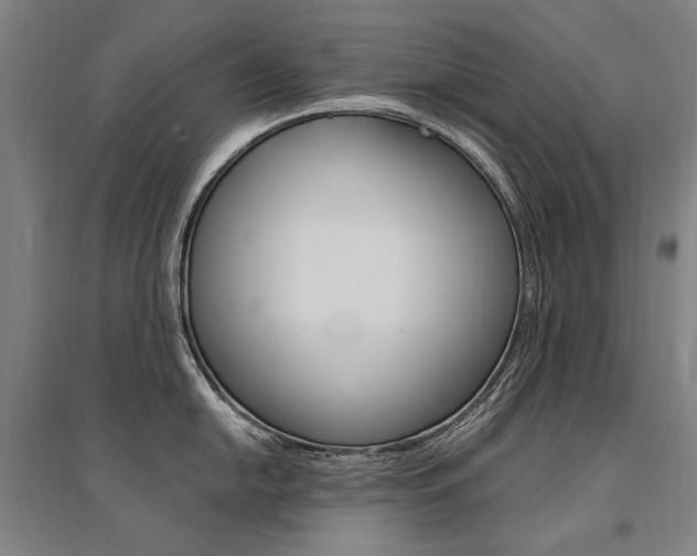 X0000095541054200712141019
