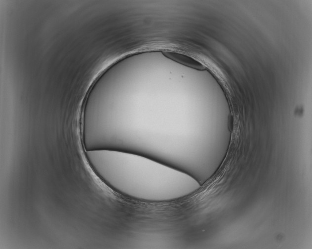 X0000095541055200712141019