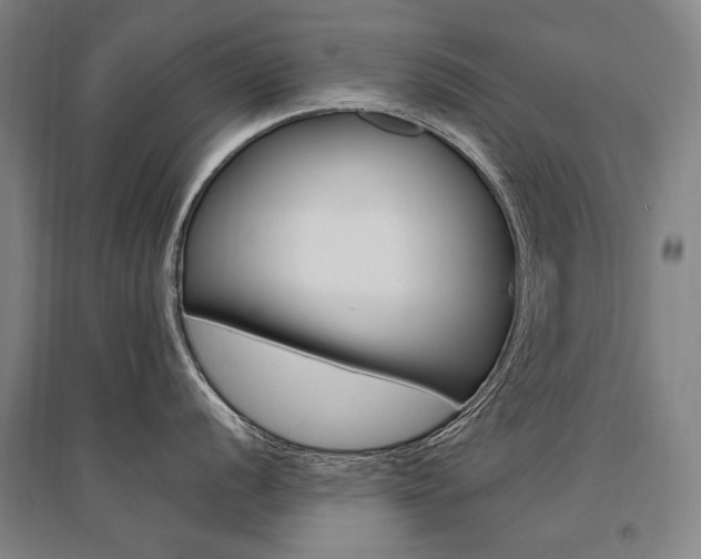 X0000095541056200712141019